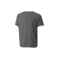 Puma teamLIGA Trikot Kinder - grau/weiß- 176