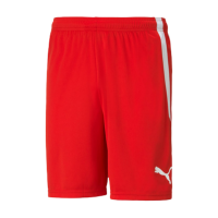 Puma teamLIGA Shorts Herren - rot - XL