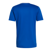 Adidas Tiro 21 Trainingstrikot Herren blau weiß Gr XL