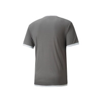 Puma teamLIGA Trikot Herren - grau - 3XL