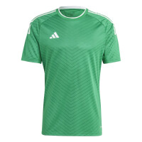 adidas Campeon 23 Trikot Herren - grün/weiß-M