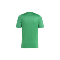 adidas Campeon 23 Trikot Herren - grün/weiß-M