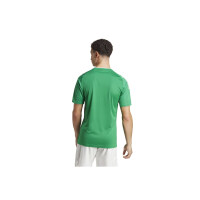 adidas Campeon 23 Trikot Herren - grün/weiß-M