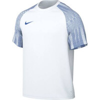 Nike Herren Academy 22 Trikot weiß blau Gr L