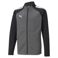 Puma teamLIGA Trainingsjacke Kinder - grau/schwarz/weiß-152