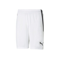 Puma teamLIGA Shorts Herren - weiß gallery