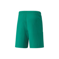 Puma teamLIGA Shorts Herren - grün - L