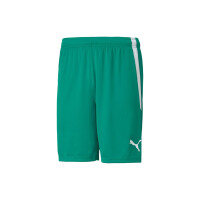 Puma teamLIGA Shorts Herren - grün - XL