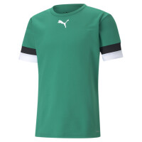 Puma Fußball teamRISE Trikot Herren grün...