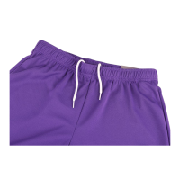 Puma Fußball teamRISE Shorts Herren lila weiß L