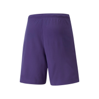 Puma Fußball teamRISE Shorts Herren lila weiß L