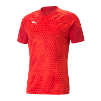 Puma teamCUP Trainingstrikot Herren rot Gr M