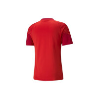 Puma teamCUP Trainingstrikot Herren rot Gr M