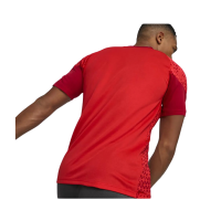 Puma teamCUP Trainingstrikot Herren - rot-L