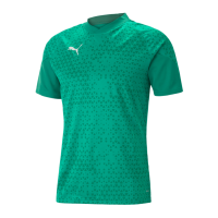 Puma teamCUP Trainingstrikot Herren grün Gr L