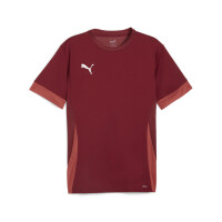 Puma teamGOAL Trikot Herren - dunkelrot-L