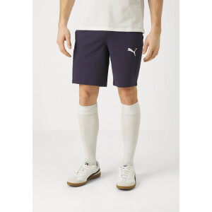 Puma teamGOAL Shorts Herren - navy L