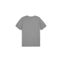 Puma teamGOAL Casuals T-Shirt Herren - grau - 2XL