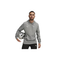 Puma teamGOAL Casuals Hoodie Herren - grau - XL