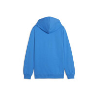 Puma teamGOAL Casuals Hoodie Kinder blau weiß Gr 140