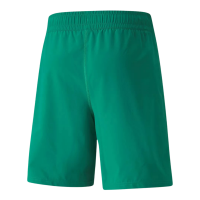 Puma teamFINAL Herren Shorts grün Gr L