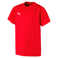 Puma Fußball Liga Training Trikot...