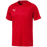 Puma Liga Core Herren Trikot  rot/weiss - M