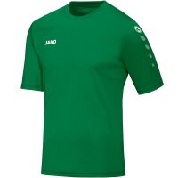 Jako Trikot Team KA