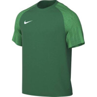 Nike Herren Academy 22 Trikot grün Gr XL