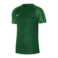 Nike Herren Academy 22 Trikot grün Gr XL