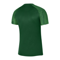 Nike Herren Academy 22 Trikot grün Gr XL