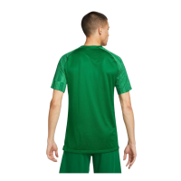 Nike Herren Academy 22 Trikot grün Gr XL
