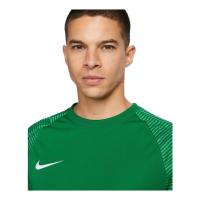 Nike Herren Academy 22 Trikot grün Gr XXL