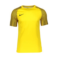 Nike Herren Academy 22 Trikot gelb schwarz Gr L