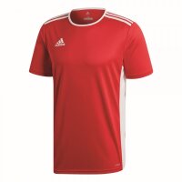 Adidas Entrada 18 Fußball Match Trikot Teamtrikot...