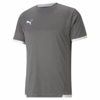 PUMA teamLIGA Herren Trikot in Smoked Pearl/Weiß