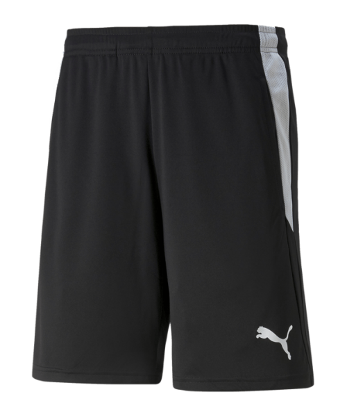 PUMA teamLIGA Schiedsrichter Shorts Herren