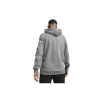 Puma teamGOAL Casuals Hoodie Herren - grau - S