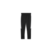 Puma teamEVOSTRIPE Pants - schwarz - XL