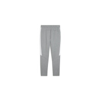 Puma teamEVOSTRIPE Pants - gray - XL