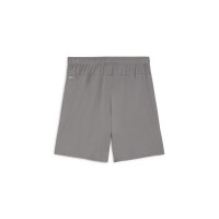 Puma teamGOAL Shorts Herren - grau-M