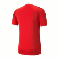 Puma teamGLORY Herren Trikot rot