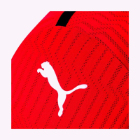 Puma teamCUP Trikot Herren rot