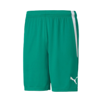 Puma teamLIGA Shorts Herren - grün   Pepper Green-Puma White