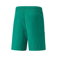 Puma teamLIGA Shorts Herren - grün   Pepper Green-Puma White