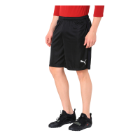 Puma Fußball Liga Training Shorts Core Fußballshorts Herren schwarz