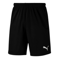 Puma Fußball Liga Training Shorts Core Fußballshorts Herren schwarz