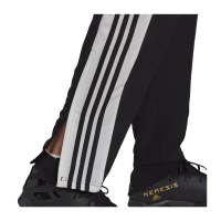 adidas Squadra 21 Präsentationshose Herren - schwarz