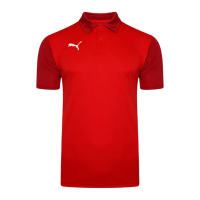 Puma teamGOAL 23 Sideline Poloshirt Herren - rot