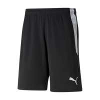 Puma teamLIGA Schiedsrichter Shorts Herren schwarz...